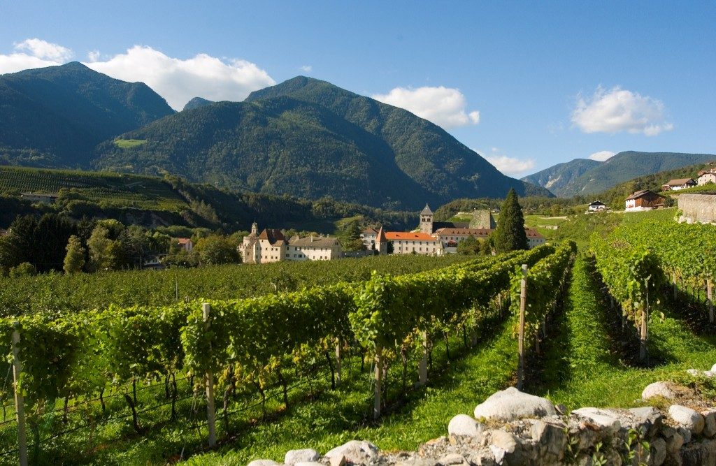 Het kloostercomplex met omringende wijngaarden