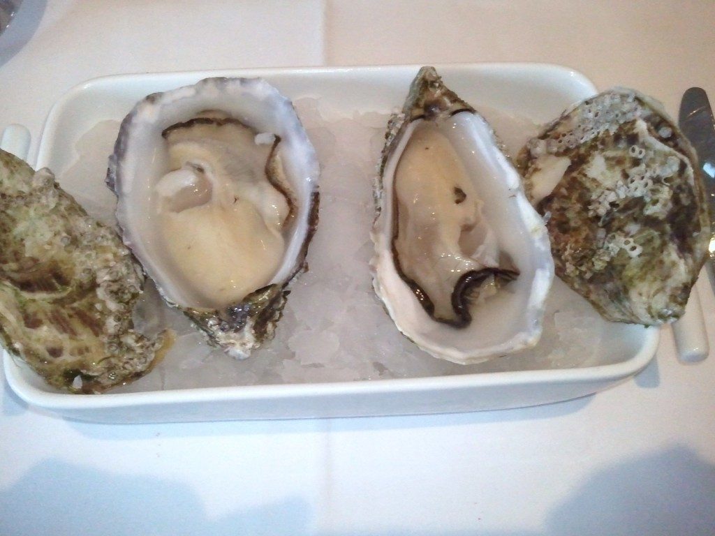 Gillardeau oesters