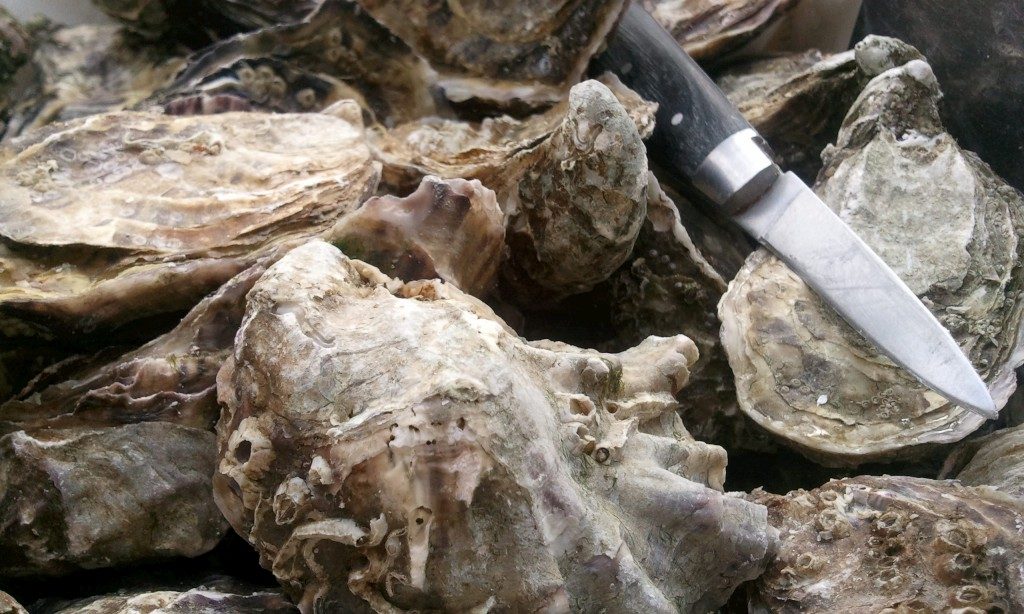 Marcus werkte vandaag met oesters van Adri & Zoon uit Yerseke